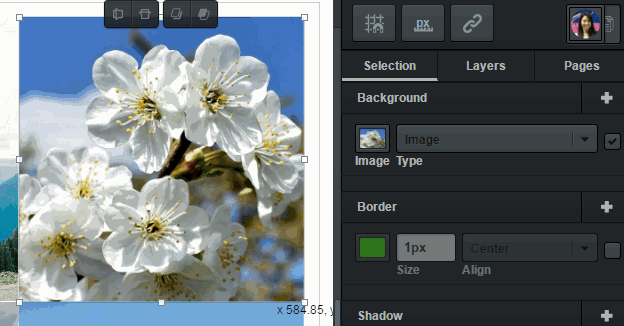 adding borders to images